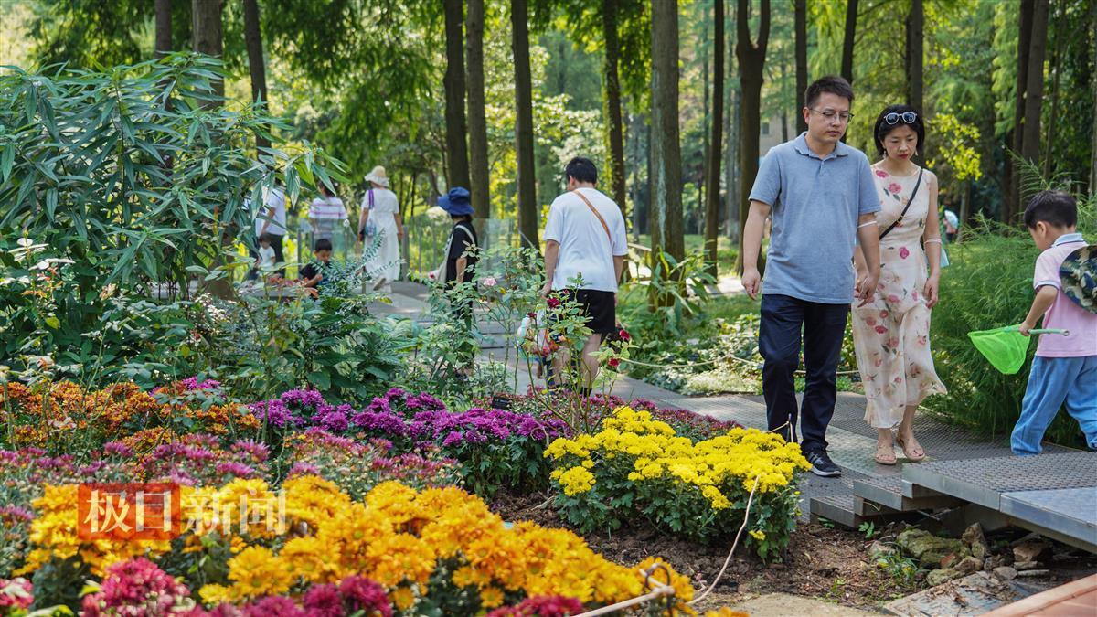 集结号捕鱼每日回血
